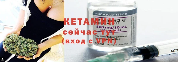 индика Алексин