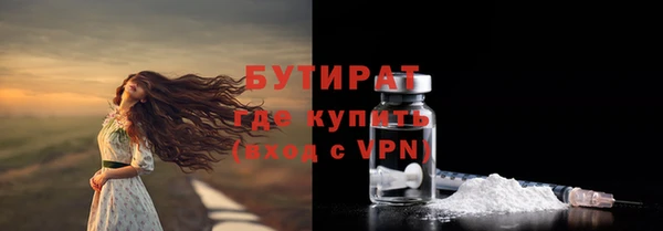 индика Алексин