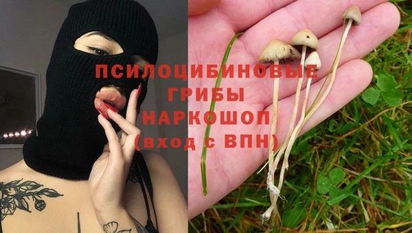 индика Алексин