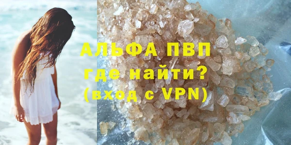 индика Алексин