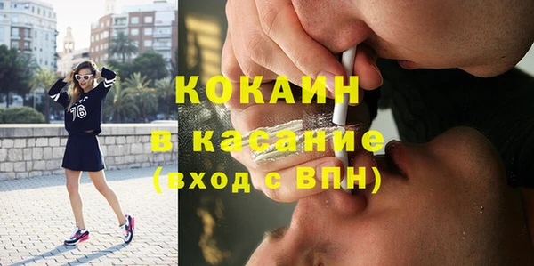 индика Алексин