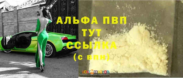индика Алексин